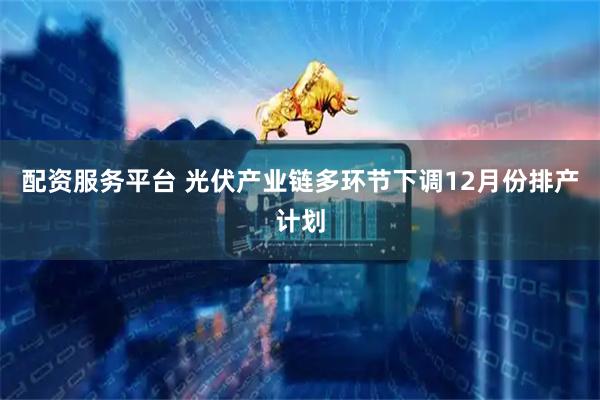 配资服务平台 光伏产业链多环节下调12月份排产计划